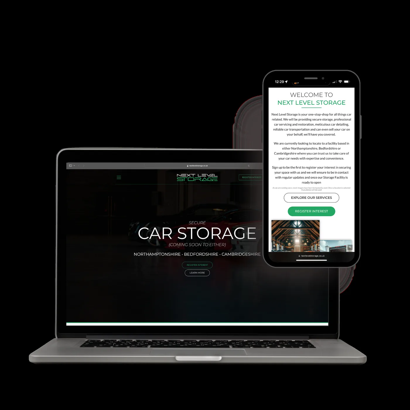 Next Level Storage website preview