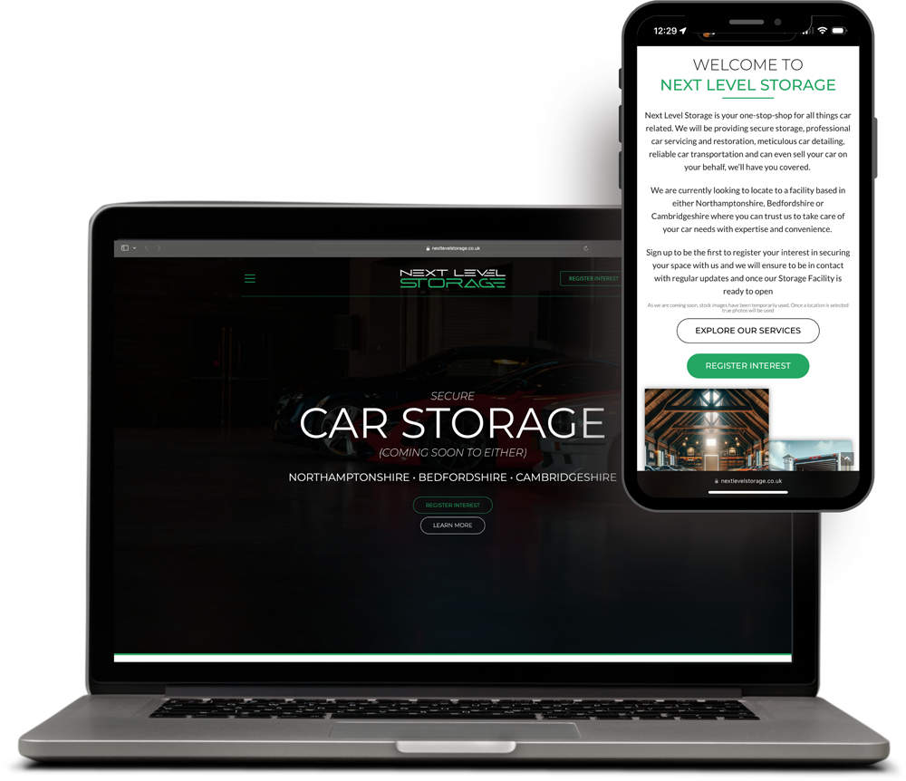Next Level Storage website example