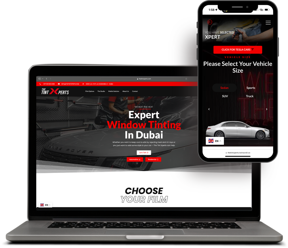 The Tint Xperts website example