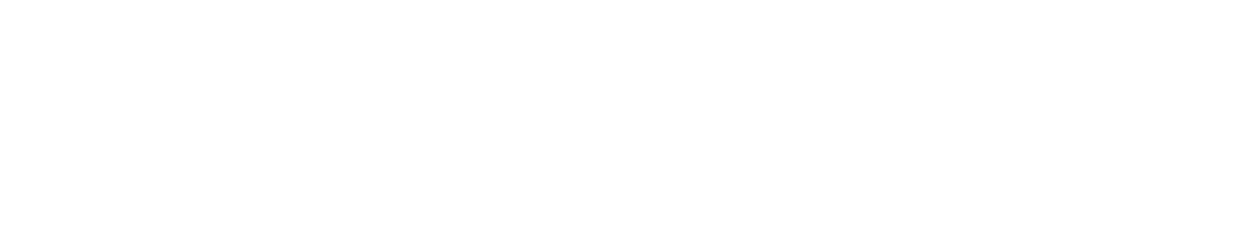 The Detailing Consultants